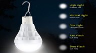 Off-Grid LED Light Bulbs